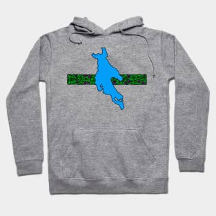 Newfound Floridic lll Hoodie